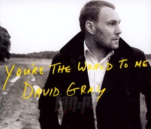 You're The World To Me -2 - David Gray