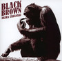 Black Brown - Akira Takasaki