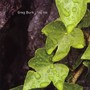 Ivy Trio - Greg Burk