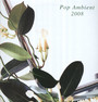 Pop Ambient 2008 - Pop Ambient   