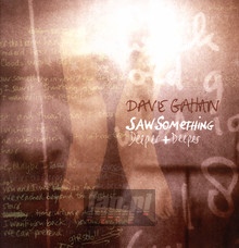 Saw Something - Dave    Gahan 