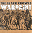 Warpaint - The Black Crowes 