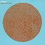 Hot Chip/Made In The Dark - Hot Chip