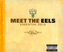 Meet The EELS - EELS