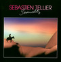 Sexuality - Sebastien Tellier