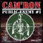 Public Enemy Number 1 - Cam'ron