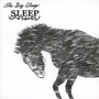 Sleep Forever - Big Sleep