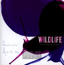 Wild Life - Anthony Phillips