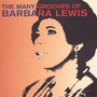 Many Grooves Of Barbara Lewis - Barbara Lewis