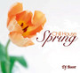 Spring - Chill House - V/A