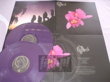 Orchid - Opeth