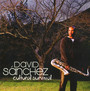 Cultural Survival - David Sanchez