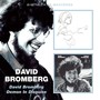 David Bromberg/Demon In Disguise, 2 On 1 - David Bromberg