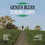 Genius Blues - Elmore James
