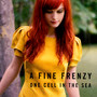 One Cell In The Sea - A Fine Frenzy