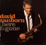 Here & Gone - David Sanborn
