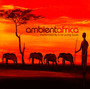 Ambient Africa - V/A