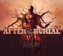 Rareform - After The Burial
