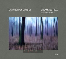 Dreams So Real - Gary Burton