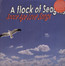 Space Age Love Songs - A Flock Of Seagulls