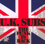 The Punk Is Back - U.K. Subs