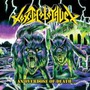 An Overdose Of Death - Toxic Holocaust
