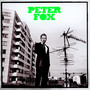 Stadtaffe - Peter Fox