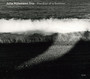 End Of Summer - Julia Huelsmann Trio 