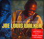 Witness To The Blues - Joe Louis Walker 
