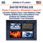 Piano Concerto - Winkler