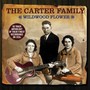 Wildwood Flower - The Carter Family 