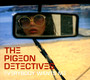 Everybody Wants Me - The Pigeon Detectives 