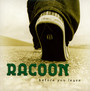 Before You Leave - Racoon