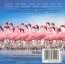 The Crimson Wing Mystery Of The Flamingos  OST - The Cinematic Orchestra 