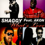 What's Love - Shaggy ft. Akon