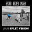 29:29 Split Vision - Subhumans   
