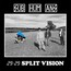 29:29 Split Vision - Subhumans 29:29 Split Vision - Subhumans
