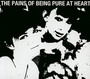 The Pains Of Being Pure At Heart - The Pains Of Being Pure At Heart 