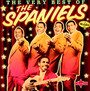 The Very Best Of - Spaniels