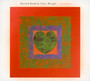 Candylion - Harold Budd / Clive Wright