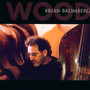Wood - Brian Bromberg