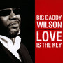 Love Is The Key - Big Daddy Wilson 