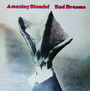 Bad Dreams - Amazing Blondel