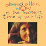 Now Is The Happiest Time Of Your Life - Daevid Allen