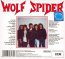 Hue Of Evil - Wolf Spider   