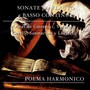 Sonate Per Flauto E Basso - Poema Harmonico