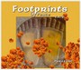 Footprints Of Peace vol.2 - Parzzival