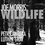 Wildlife - Joe Morris
