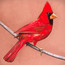 Old Crows/Young Cardinals - Alexisonfire