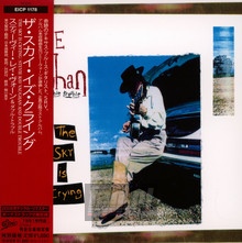 The Sky Is Crying - Stevie Ray Vaughan 